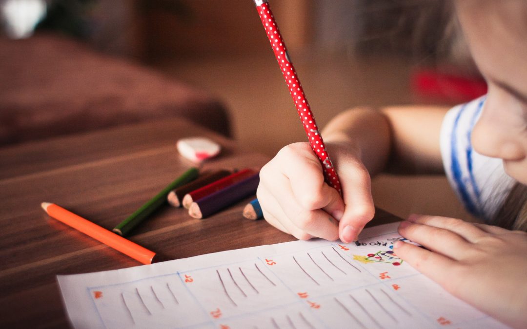Projekt Rozporządzenia MEN w sprawie sposobu i trybu organizowania indywidualnego obowiązku rocznego przygotowania przedszkolnego i indywidualnego nauczania dzieci i młodzieży