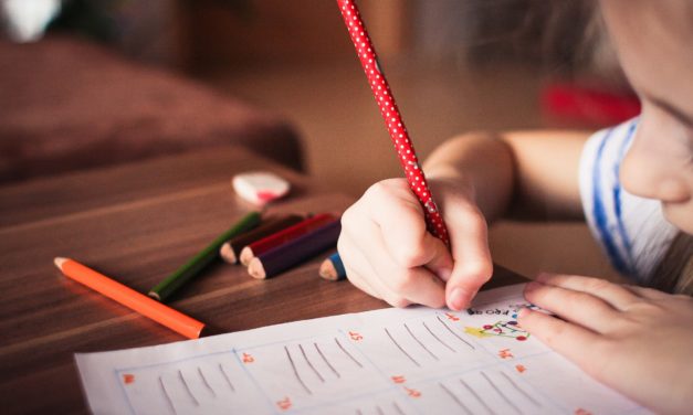 Projekt Rozporządzenia MEN w sprawie sposobu i trybu organizowania indywidualnego obowiązku rocznego przygotowania przedszkolnego i indywidualnego nauczania dzieci i młodzieży